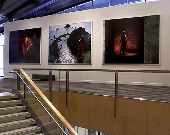 View of the installed tryptich Dance in the Landscape by Bonemap at the Cairns COnvention Centre 2005